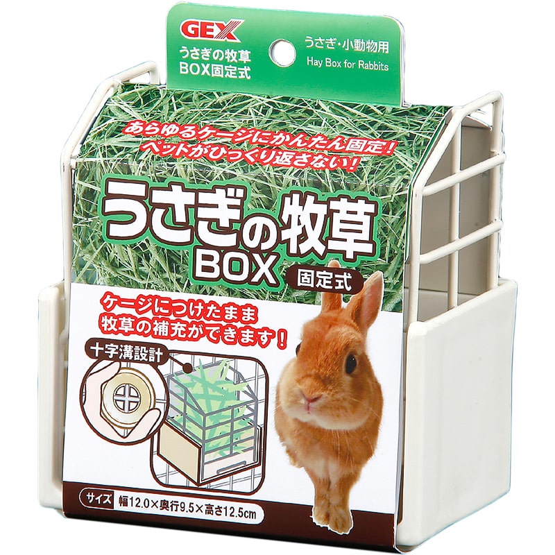 ̖qBOX Œ莮