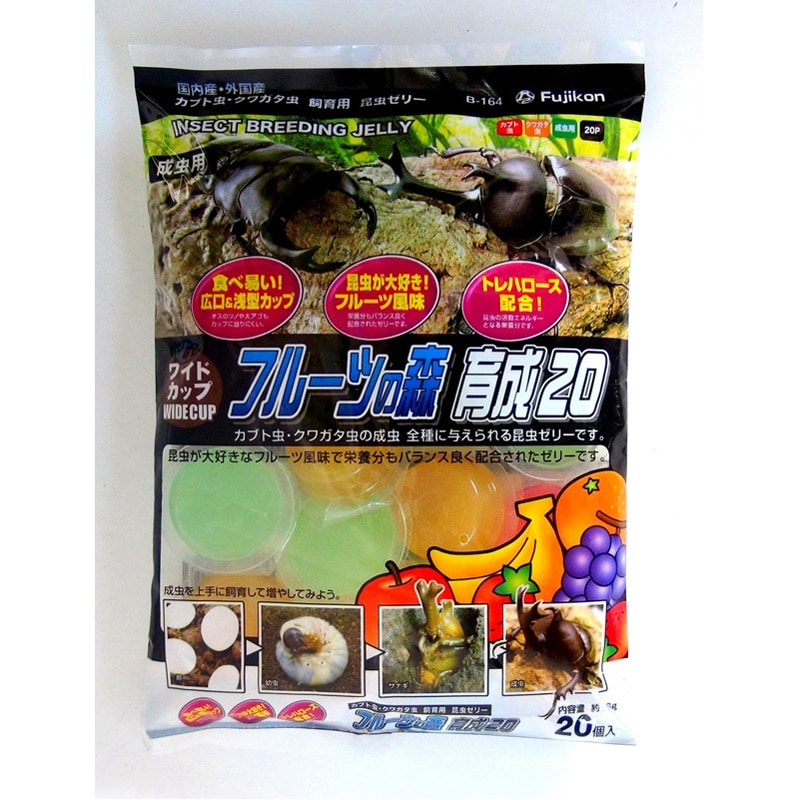 ワイドカップ フルーツの森 育成20