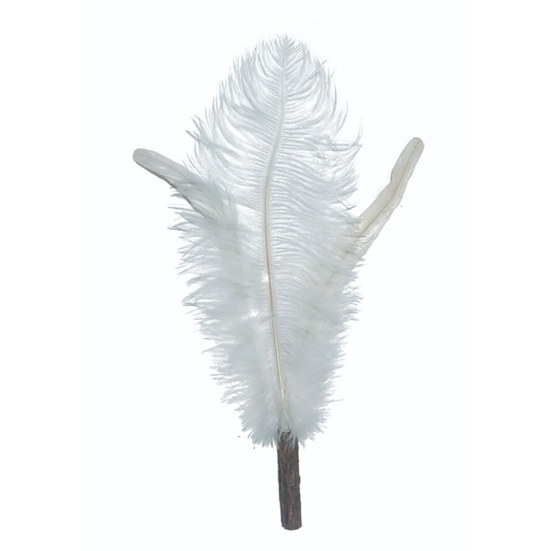 MEGA����炵�t���ւ��p2P D�z���C�g