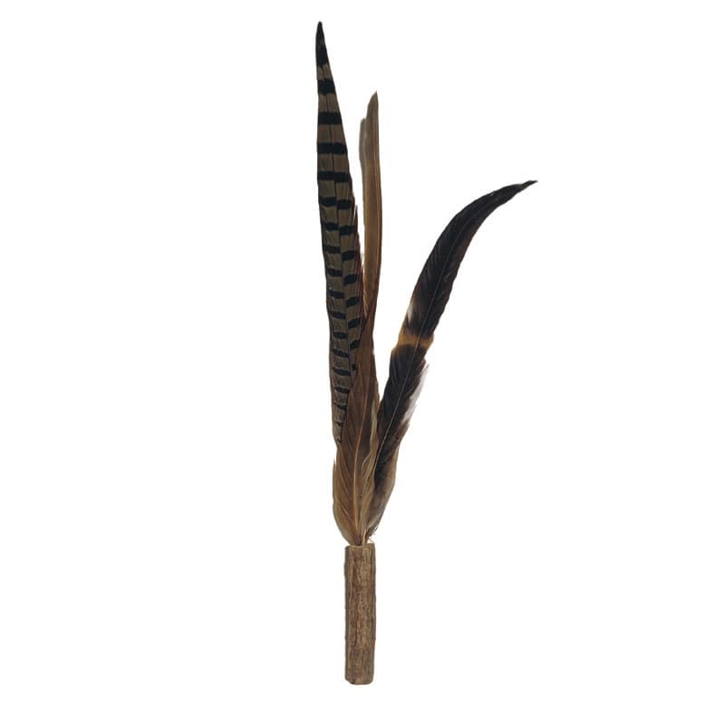 MEGA����炵�t���ւ��p2P N�u���E��