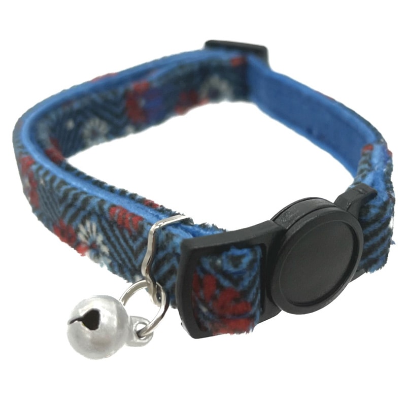 �˂����e �a�w�����{���J���[ ���L�p ��