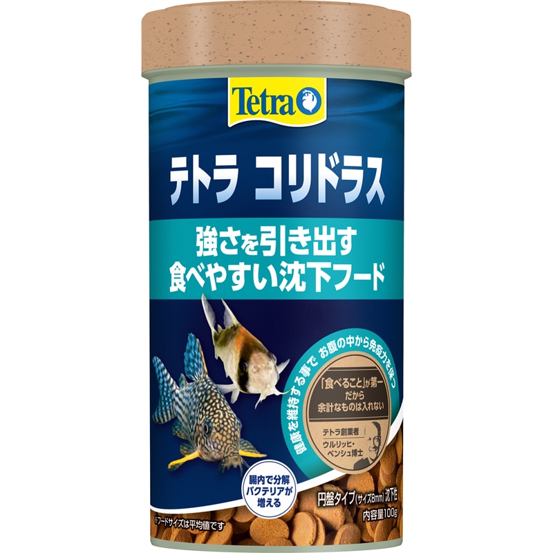 �e�g�� �R���h���X 100g