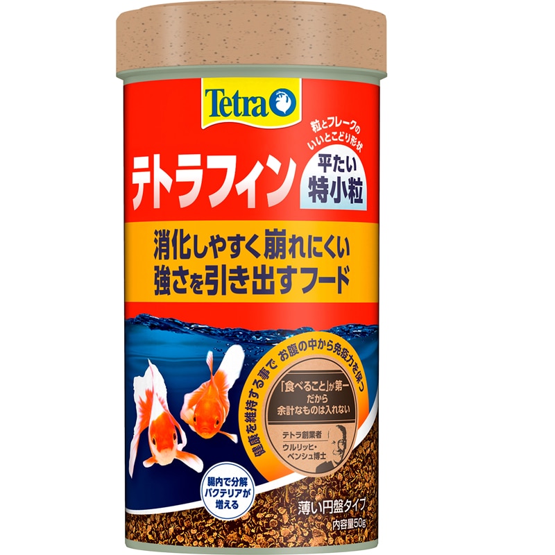 �e�g���t�B�� ������������ 50g