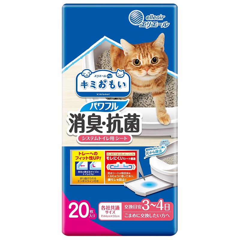 �L�~������ �p���t�����L�E�R�� �V�X�e���g�C���p�V�[�g 3�`4���p 20��