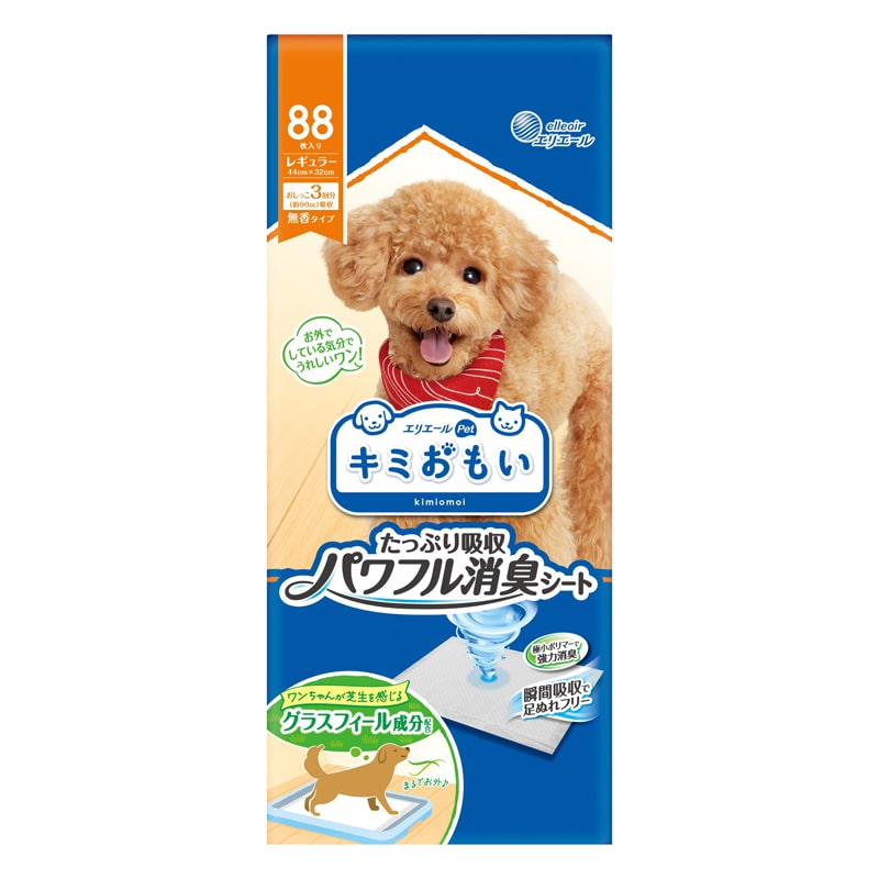 �L�~������ �p���t�����L�V�[�g ���M�����[ 88��