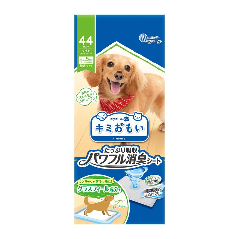 �L�~������ �p���t�����L�V�[�g ���C�h 44��