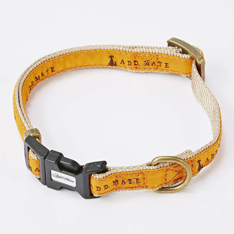 �V���{���J���[ S �I�����W