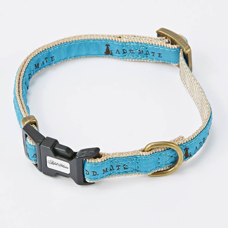 �V���{���J���[ S �^�[�R�C�Y