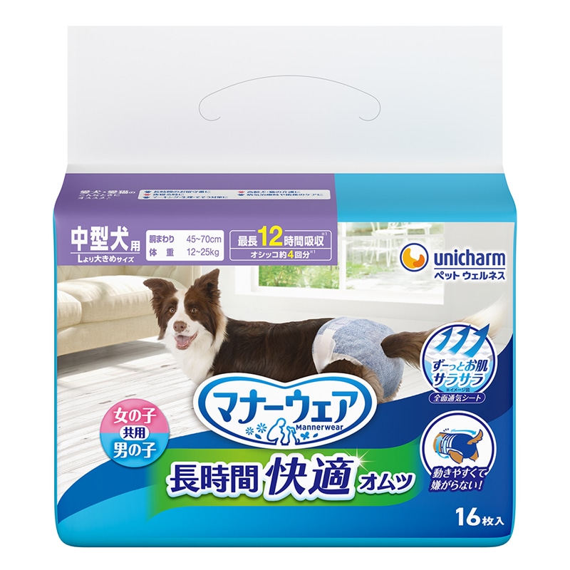 �}�i�[�E�F�A �����ԉ��K�I���c �j�����p���^���p 16����