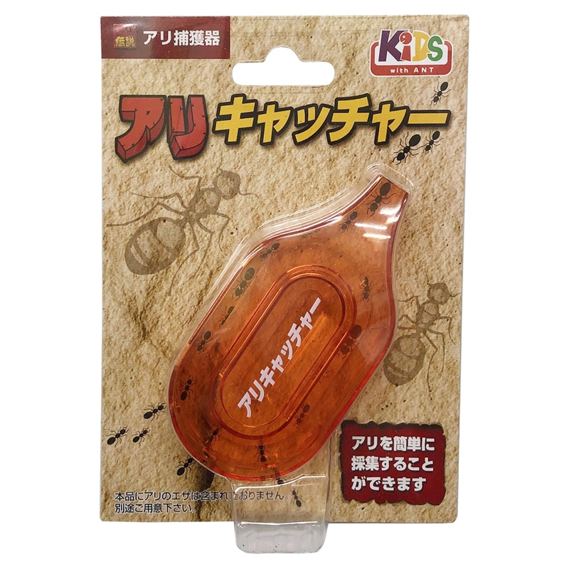 �A���L���b�`���[