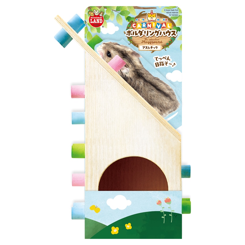 �n���X�^�[�J�[�j�o�� �{���_�����O�n�E�X