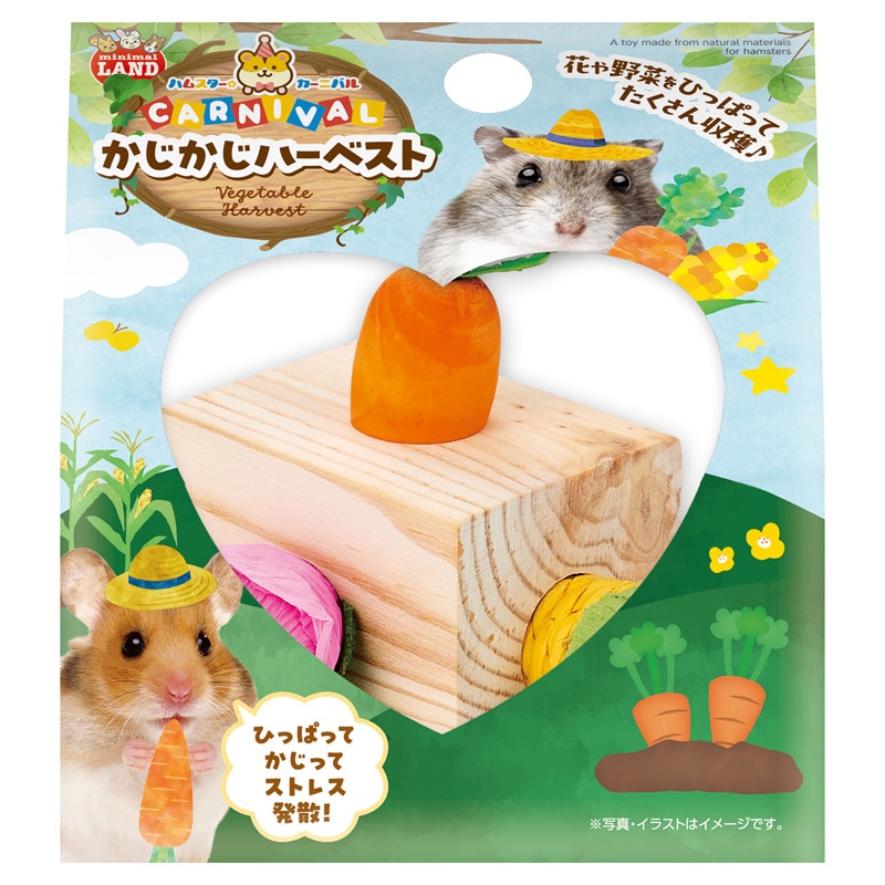 �n���X�^�[�J�[�j�o�� ���������n�[�x�X�g