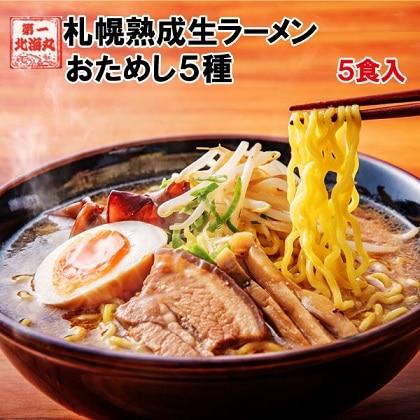 ラーメン 北海道 札幌熟成生麺 ５種スープ食べ比べ ib-005