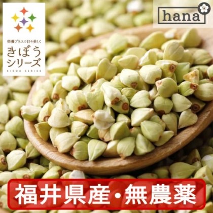 きぼうの そばの実 500g 国産 無農薬 hana-021