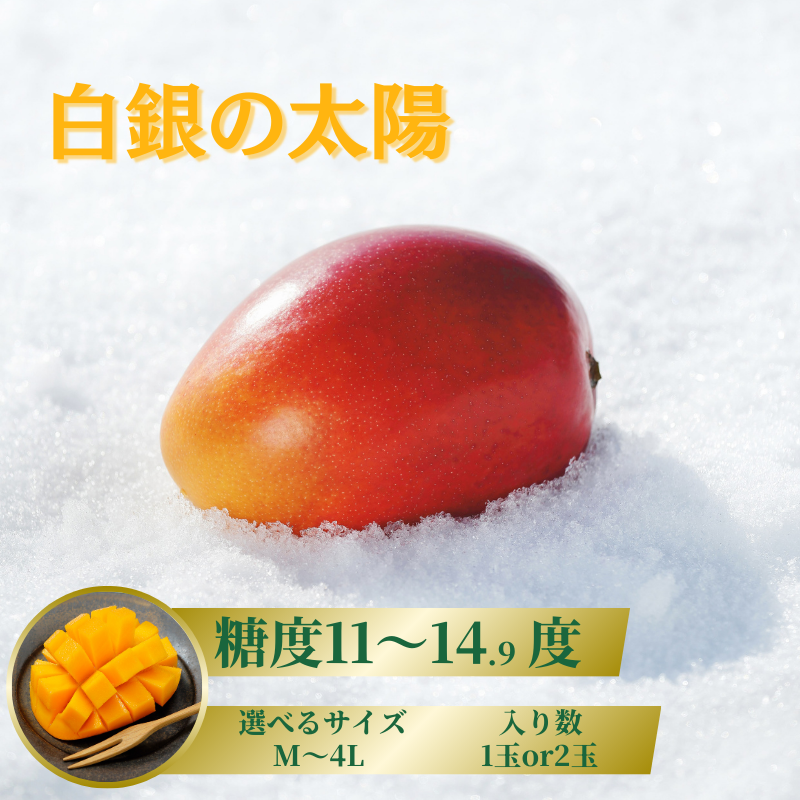 摘果マンゴー3/13④ 摘果マンゴー3/21❶ 【公式通販】