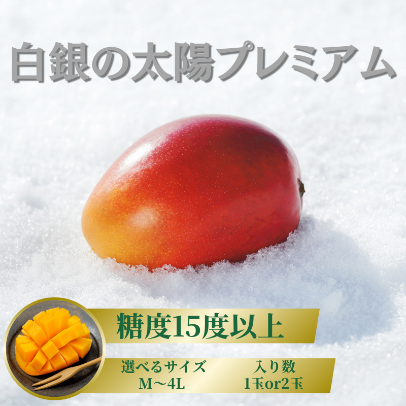 最終価格　摘果マンゴー　19kg ① マンゴーの通販｜郵便局のネットショップ