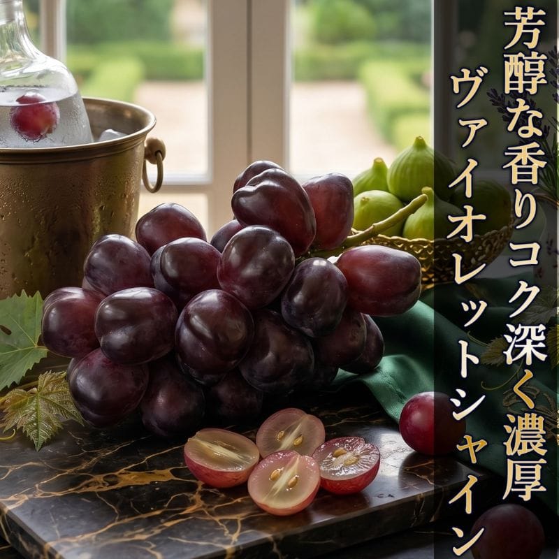 ���@�C�I���b�g�V���C���i2�[�j