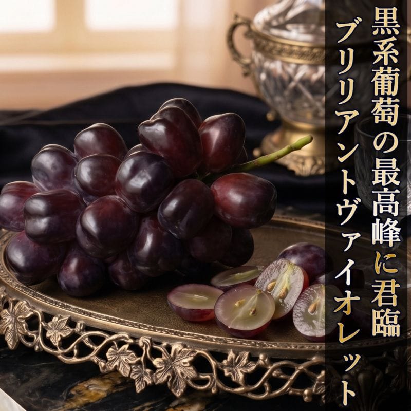 �u�����A���g���@�C�I���b�g�i2�[�j