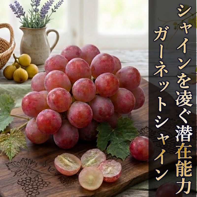 �K�[�l�b�g�V���C���i2�[�j