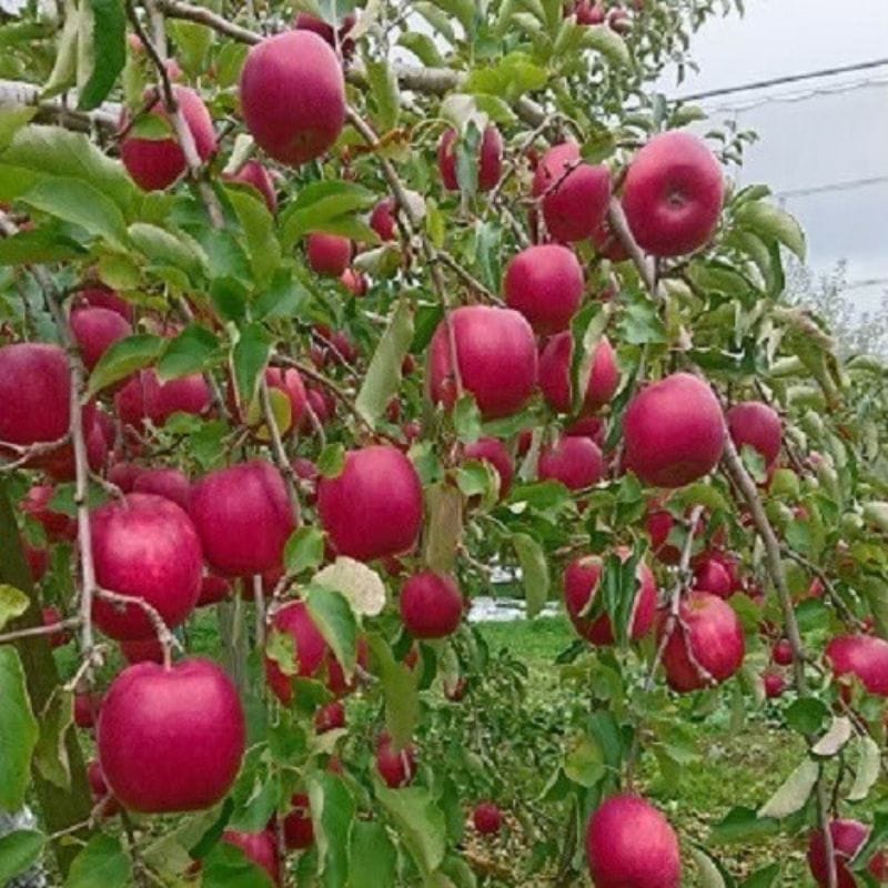 ���~��ь�i3����j