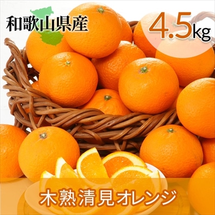 清見 オレンジ