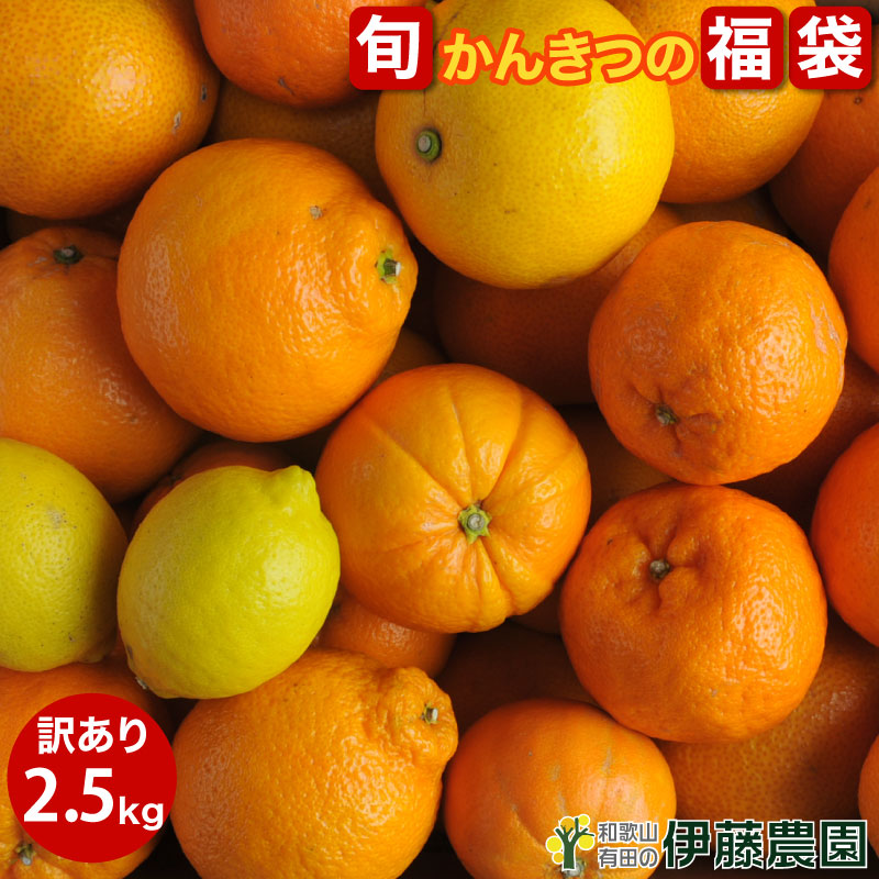 �ɓ��_�� �{�̊��k�̕��� ���񂫂ދl�ߍ��킹 �󂠂� 2.5����