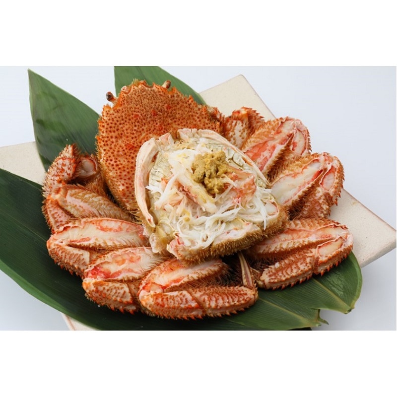 yⓀzS@{CуKj1i800jy̐YN̔z