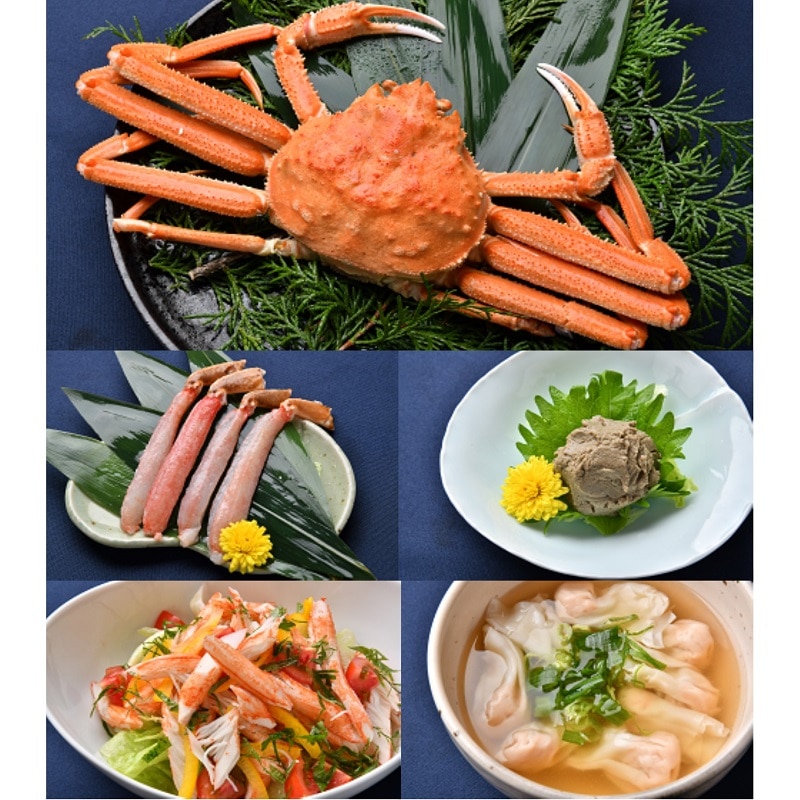 yⓀzT@JjoGeB[Zbg@~jy̐YN̔z