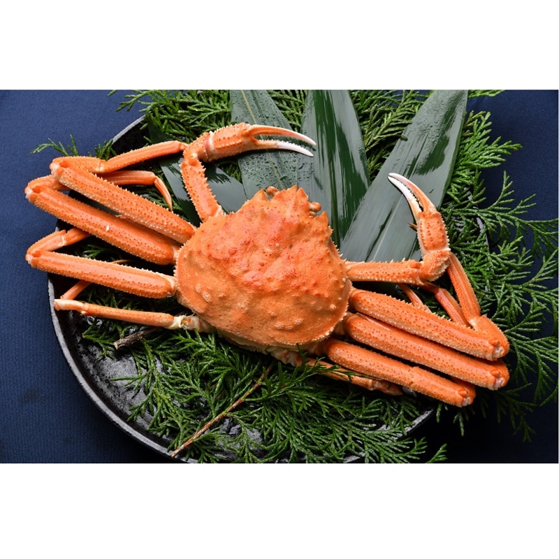 yⓀzU@kCY@IIYC@p1y̐YN̔z