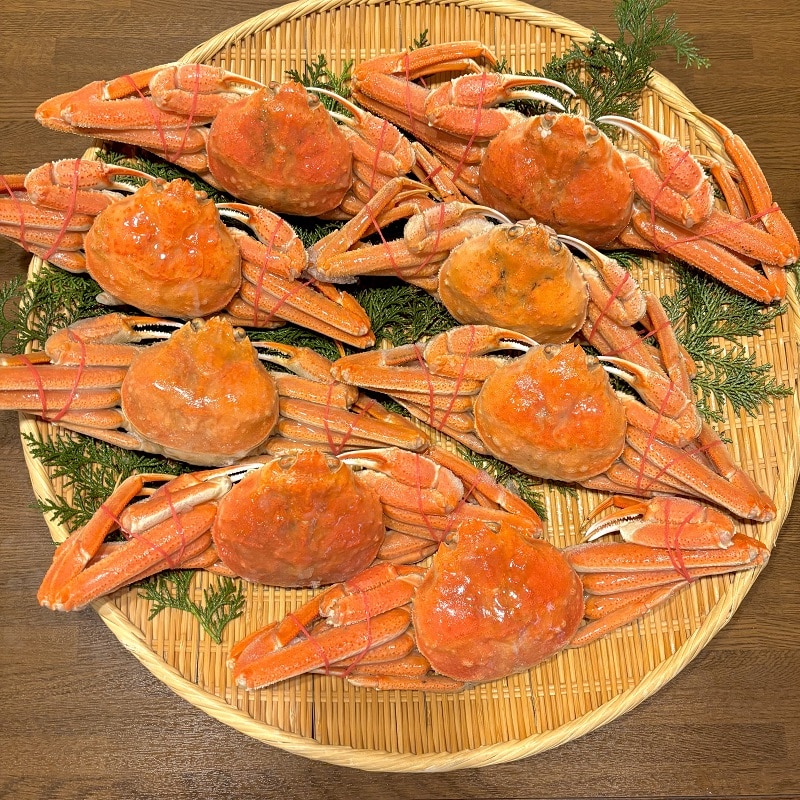 yⓀzV@kCY@IIYCp@8y̐YN̔z