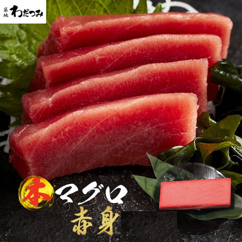 yⓀzPX@{B{}O Ԑg  160@y̐YN̔z