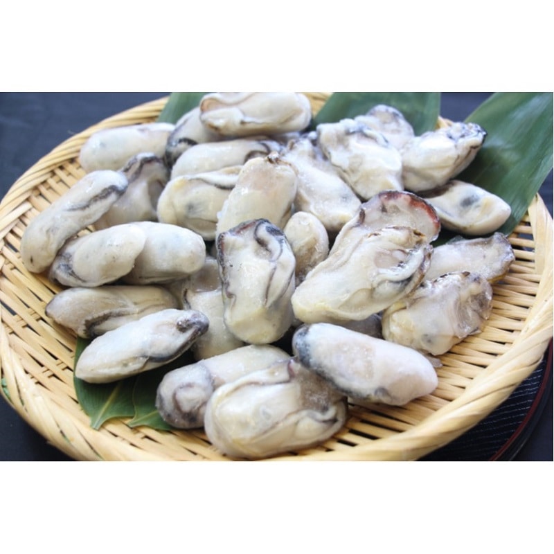 yⓀzQS@LY@Ⓚ@Mp@LLTCY  600gy̐YN̔z