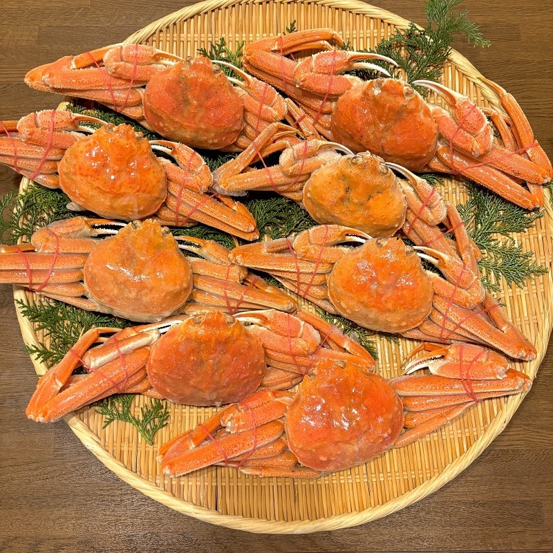 �y�Ⓚ�z�k�C���Y�@�I�I�Y���C�p�@8��