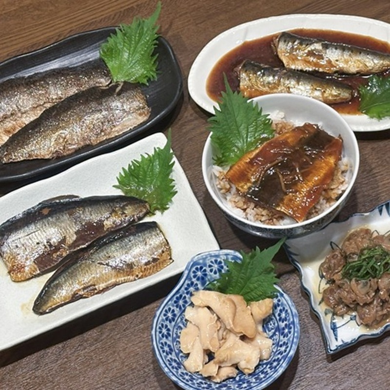 ����߃p�P�b�g�@�z�n�̋���������6�i�Z�b�g