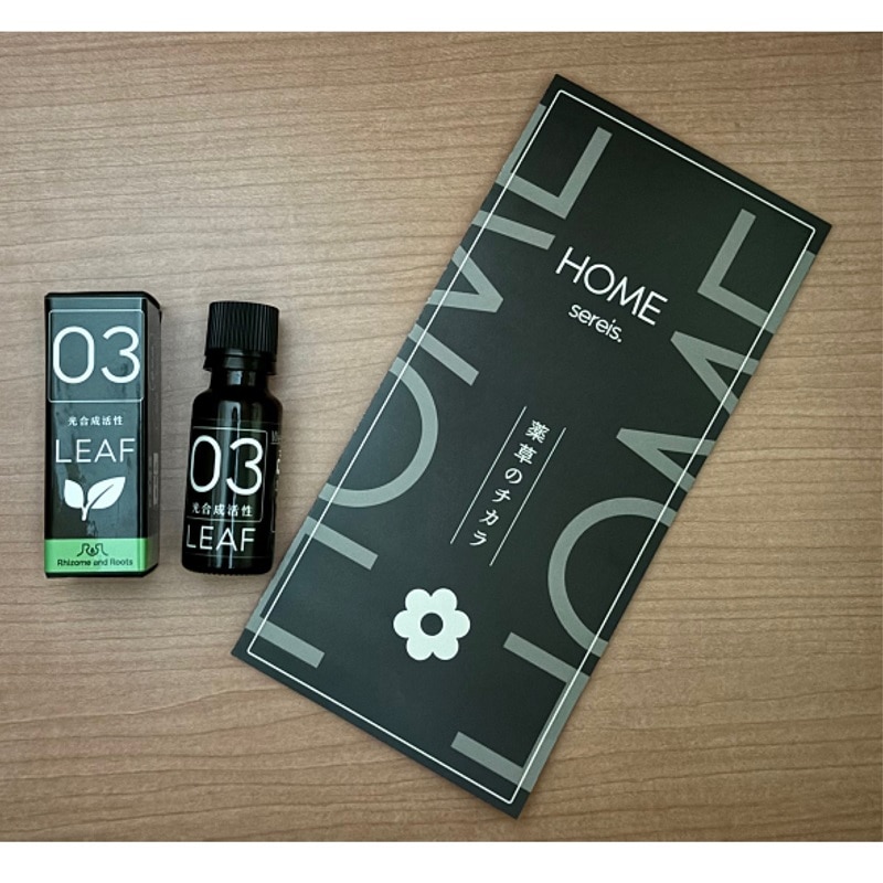 oCIXeB~gށiށj03-LEAFiarށj