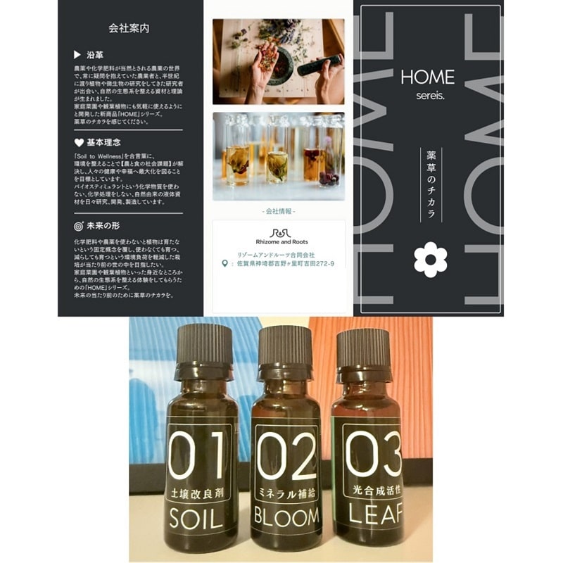 oCIXeB~gށi01-SOILA02-BLOOMA03-LEAFj3{Zbgiarށj