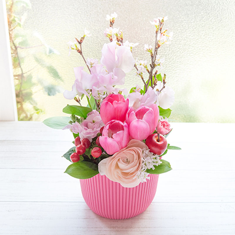 �t�̃t�����[�M�t�g�u���A�����W�v