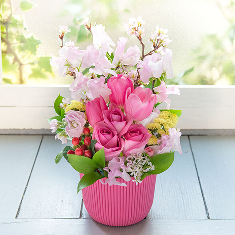 �t�̃t�����[�M�t�g�u���ԃA�����W�v