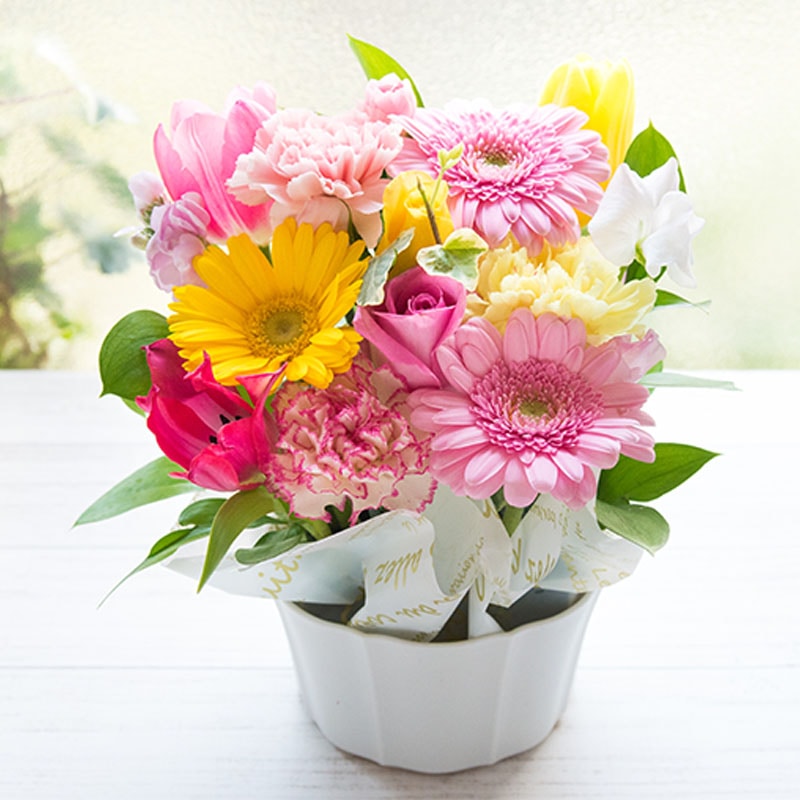 �t�̃t�����[�M�t�g�u�t�F�~�b�N�X�A�����W�v