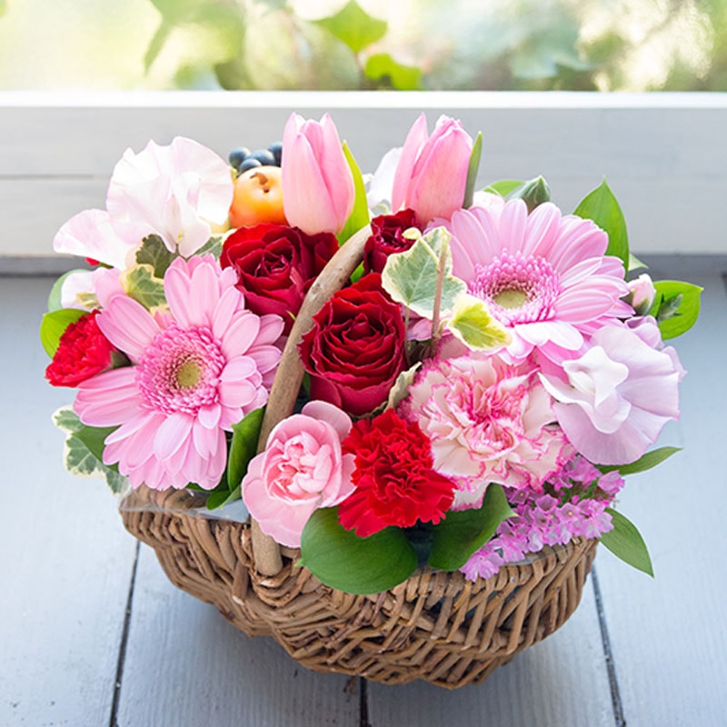 �t�̃t�����[�M�t�g�u�C�[�X�^�[�o�X�P�b�g�v