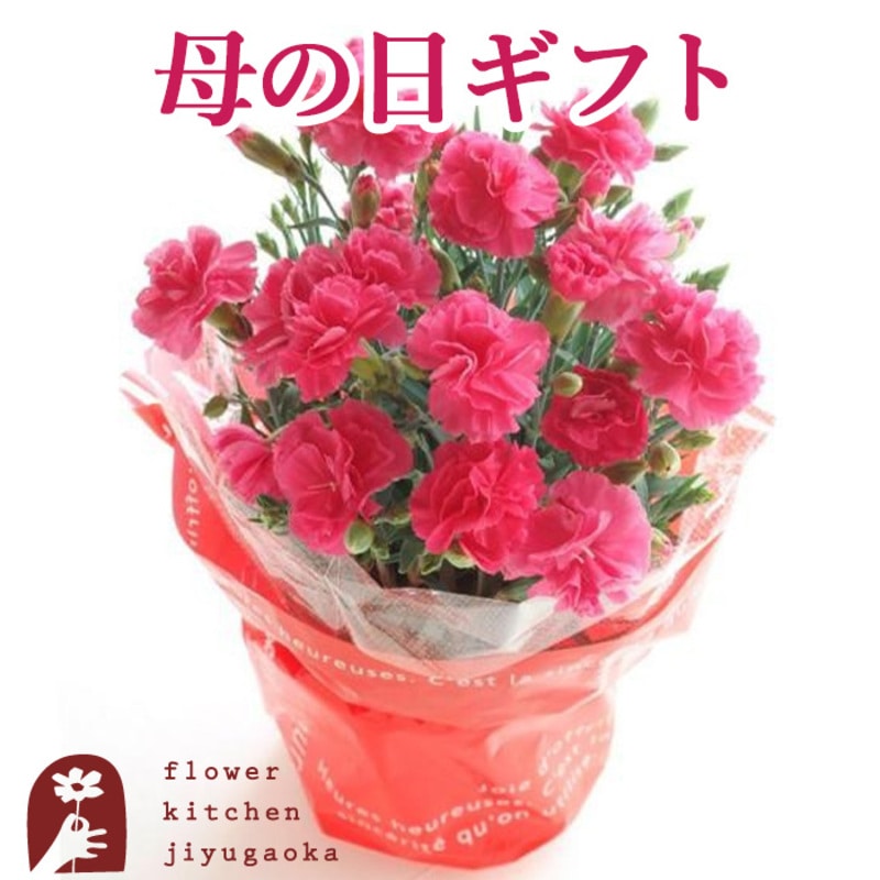 ����̓����J�[�l�[�V���� 5���� �s���N�i�i�킨�܂����j