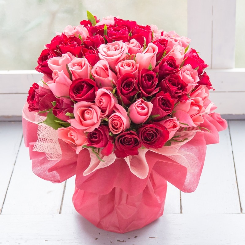 50�{�o���X�^���h�u�[�P�i�s���N���b�h�n�j