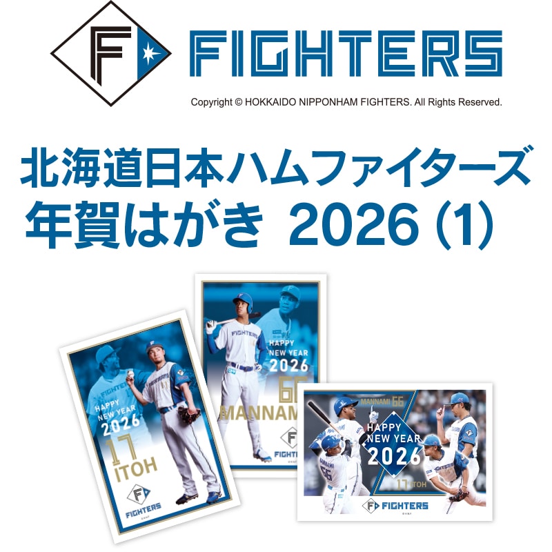 kC{nt@C^[YN͂2026(1)