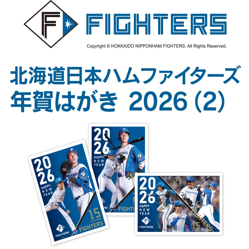 kC{nt@C^[YN͂2026(2)