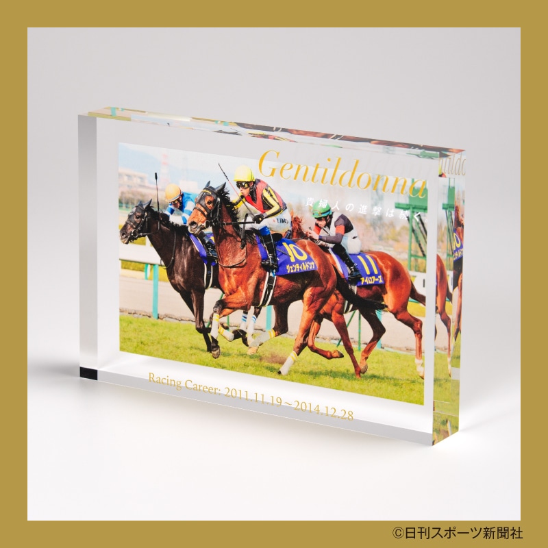 競馬非売品 ジェンティルドンナ 貴重 名馬コレクション 特製アクリルオブジェ（6）（ジェンティル
