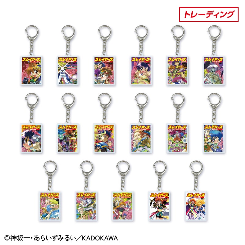 �u�X���C���[�Y�v35���N�L�O �\���A�N�����L�[�z���_�[�i17��g���[�f�B���O�j