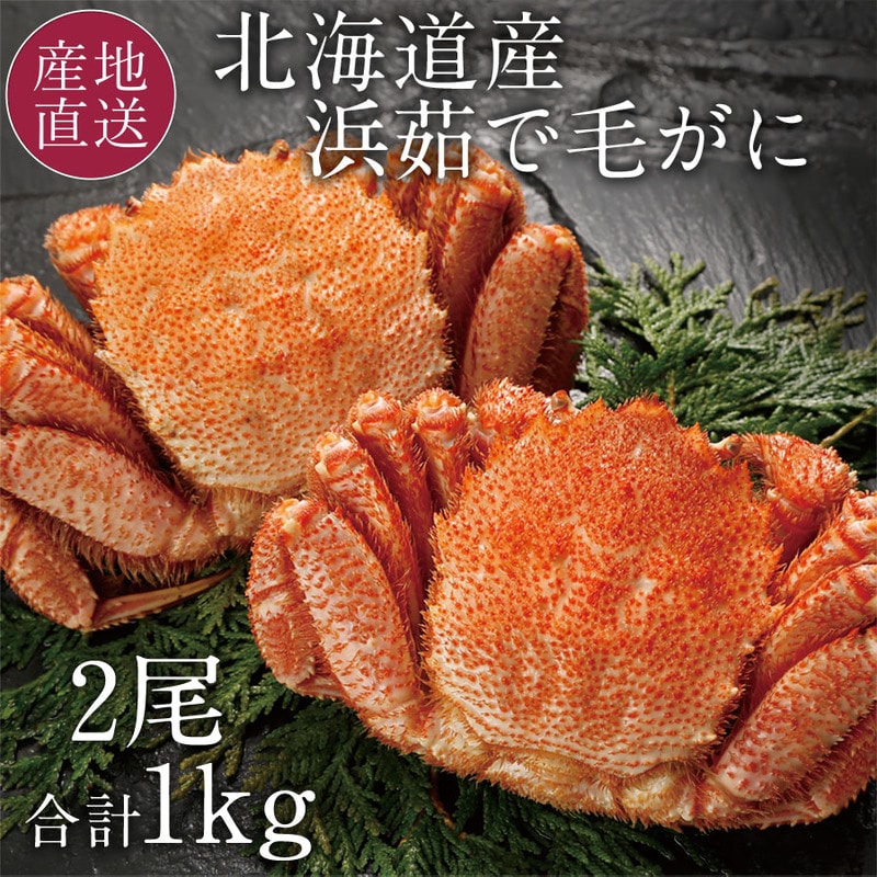 Ε遄yⓀzJlTYkCYтɎp2(500g×2)