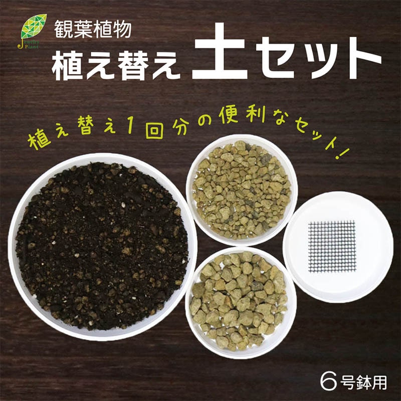 観葉植物用 6号鉢 植え替え土セット