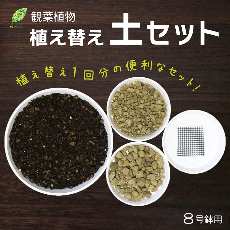 特価品セ 観葉植物用 8号鉢 植え替え土セット｜郵便局のネットショップ アガベ