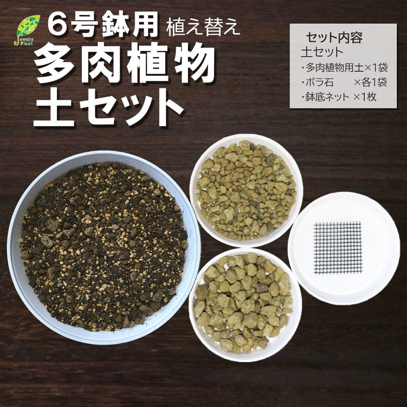 多肉植物用 6号鉢 植え替え土セット